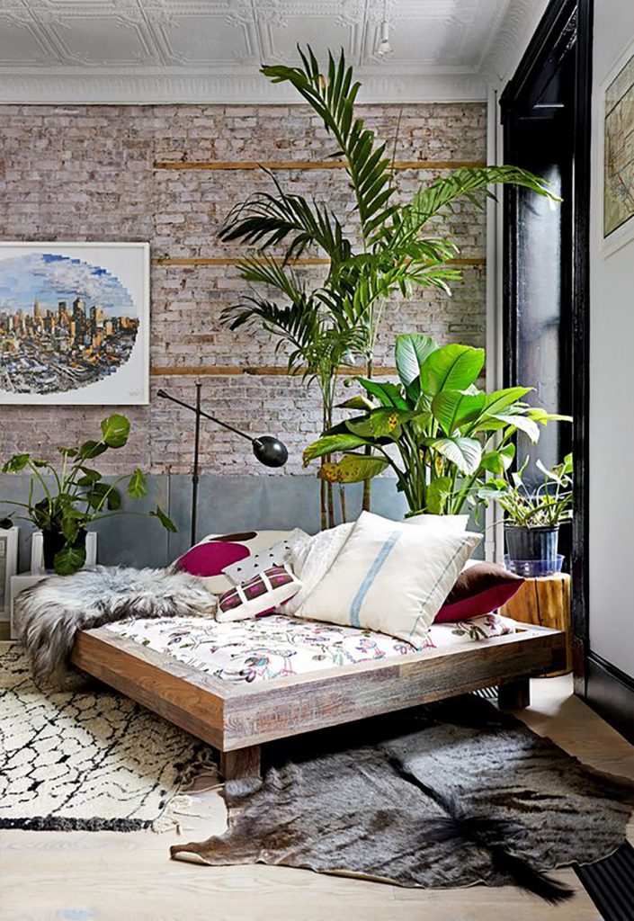 living room revamp your room plant