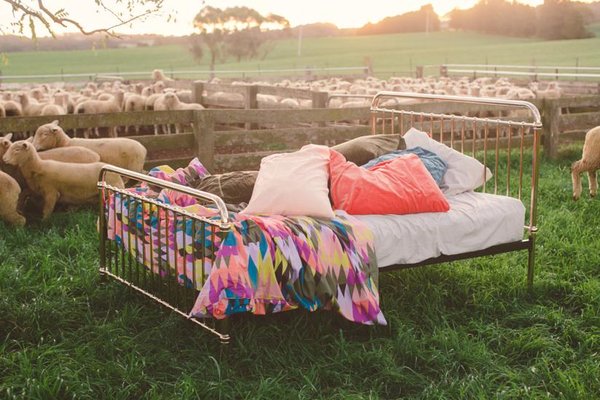 bed in sheep paddock