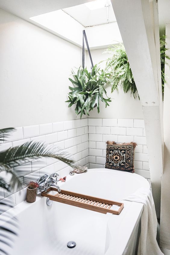 Small bathroom decorating ideas - hanging bathroom potted plants