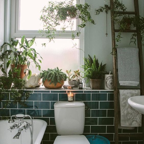 Small bathroom decorating ideas - small assorted plants