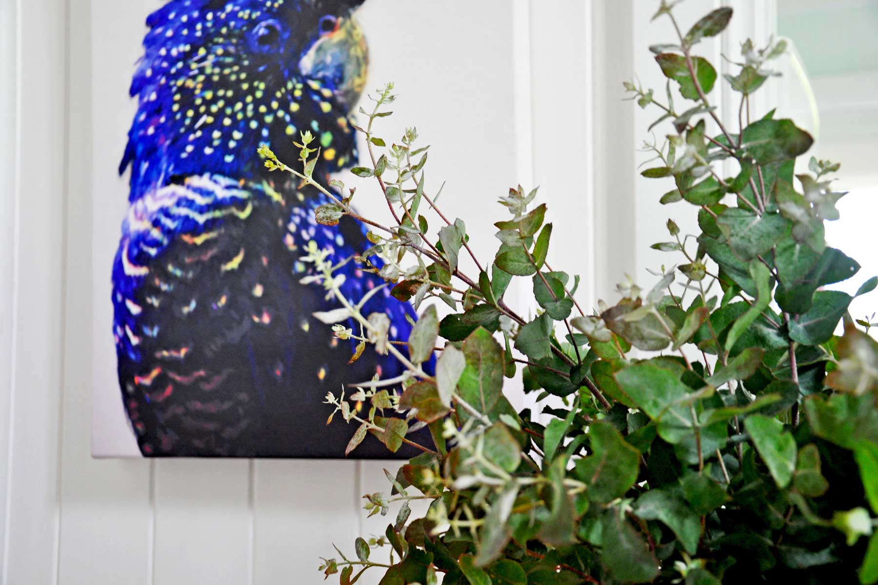 Andy's Hunter Valley old school house - after - plant bird