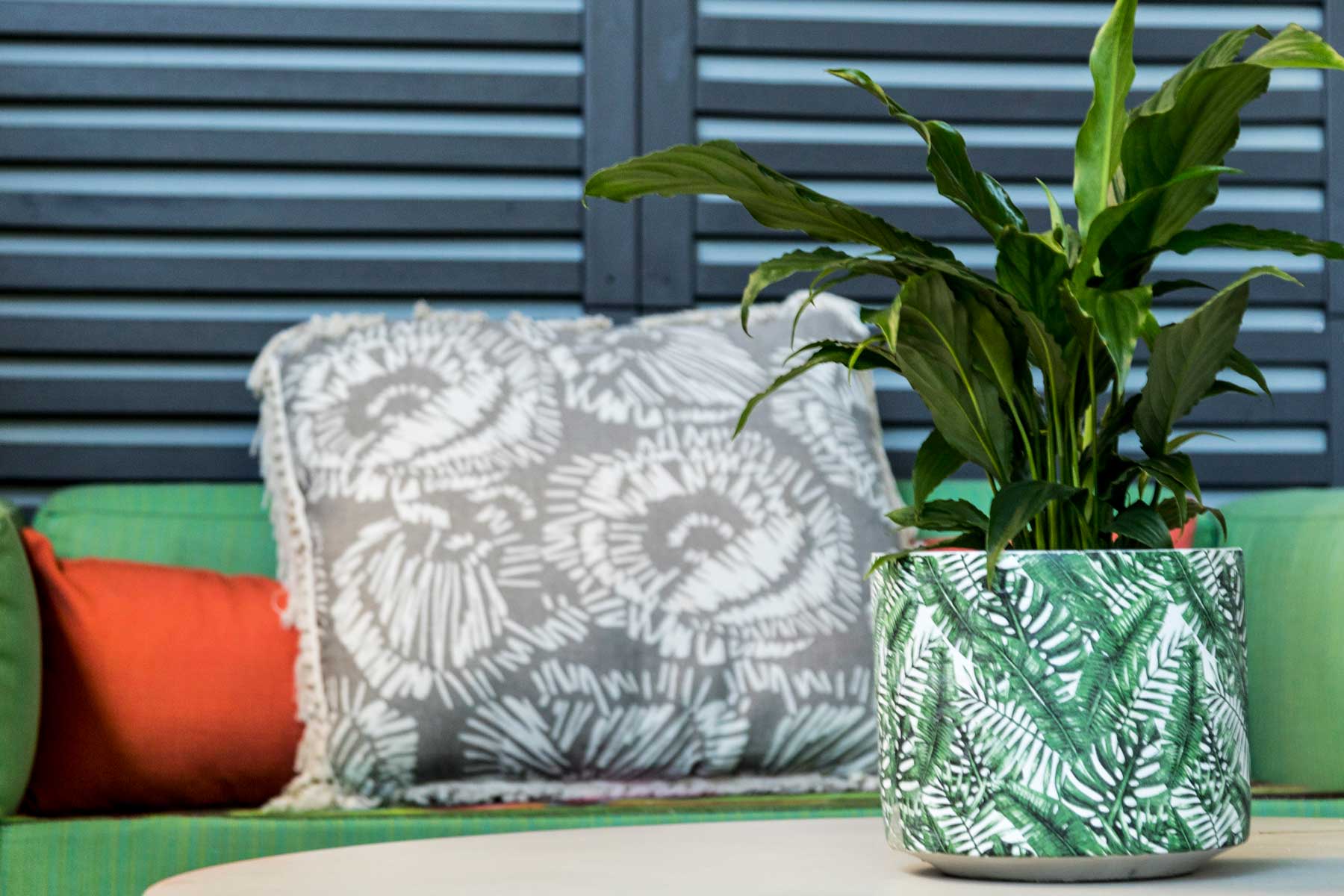 Robyn's vibrant beach apartment - after - plant