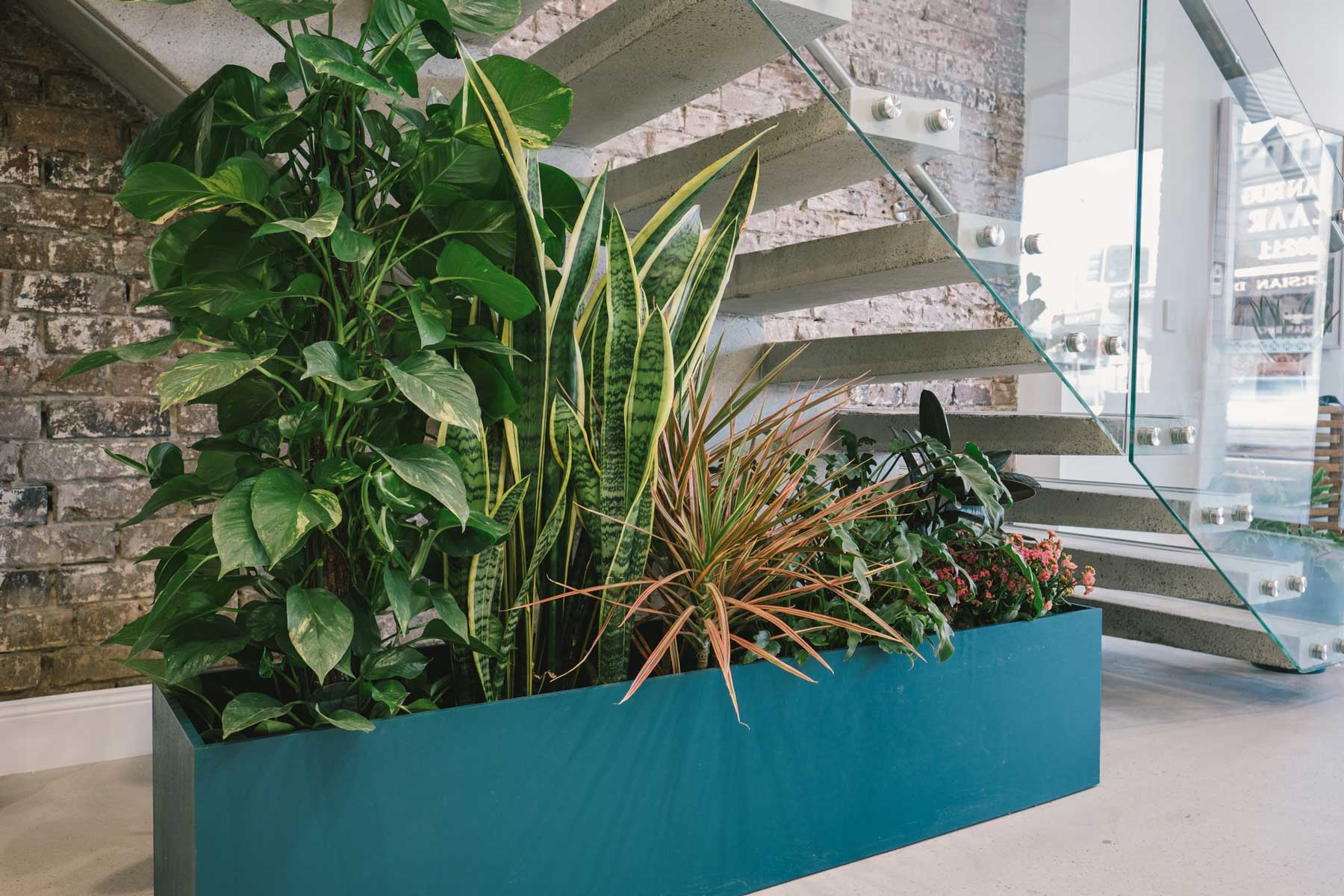 Soothing Care Dental - after - under stairs