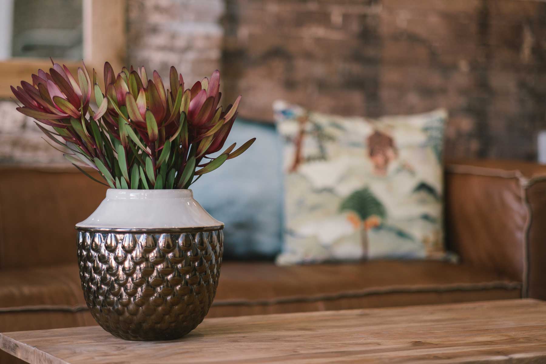 Soothing Care Dental - after - zoom plant