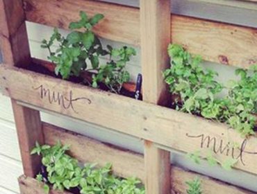 outdoor herb garden vertical crates
