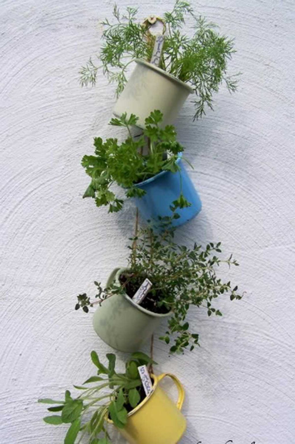 Herb Garden Ideas Nine Ways To Create A Happy Herb Garden