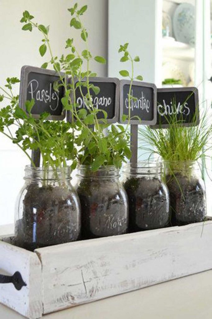 outdoor herb garden herbs in glass jars