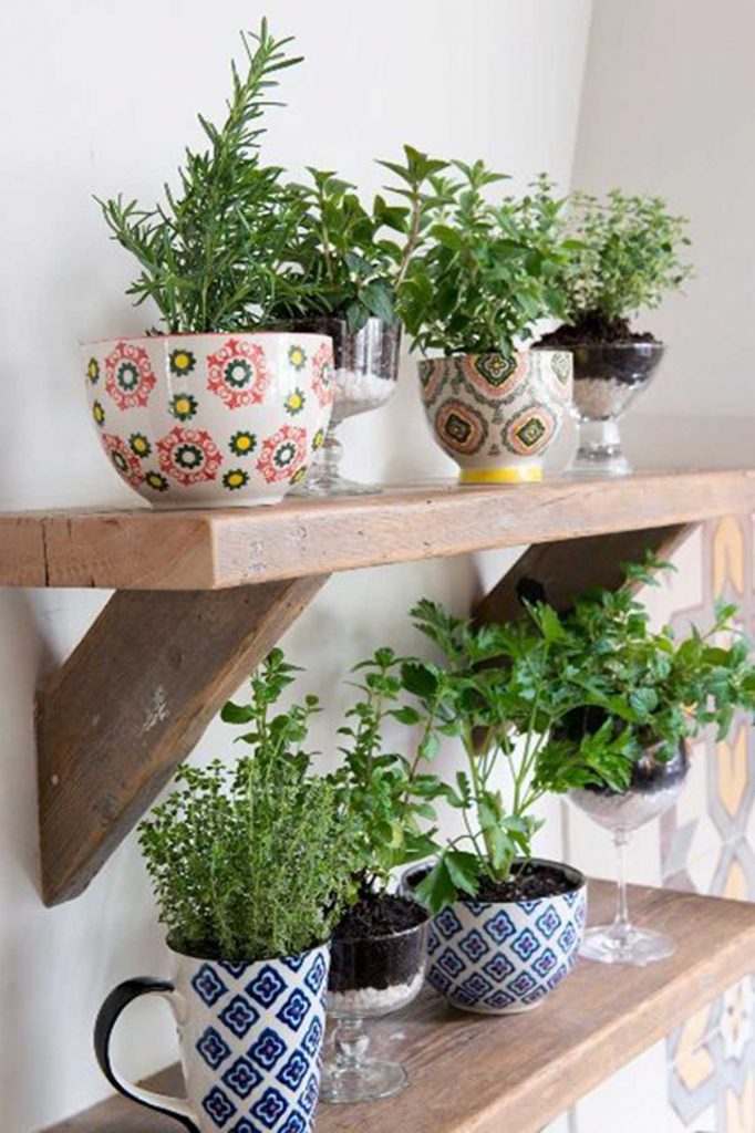 outdoor herb garden in kitchenware