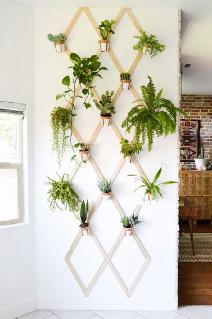 indoor plants on wall