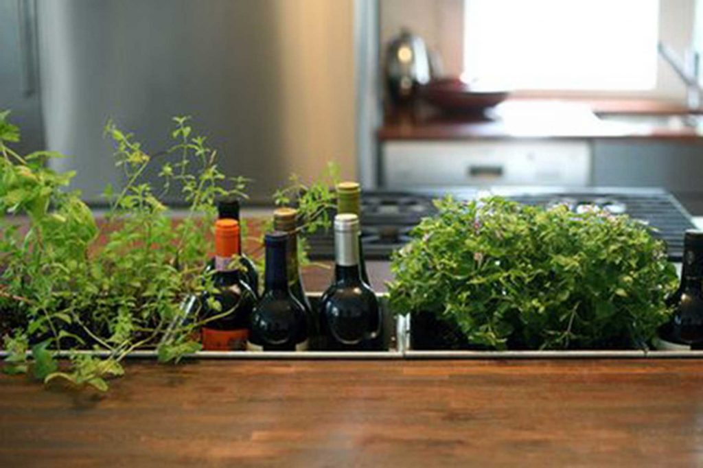 kitchen herb sunken garden