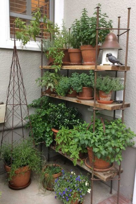 Herb garden ideas- Nine ways to create a happy herb garden