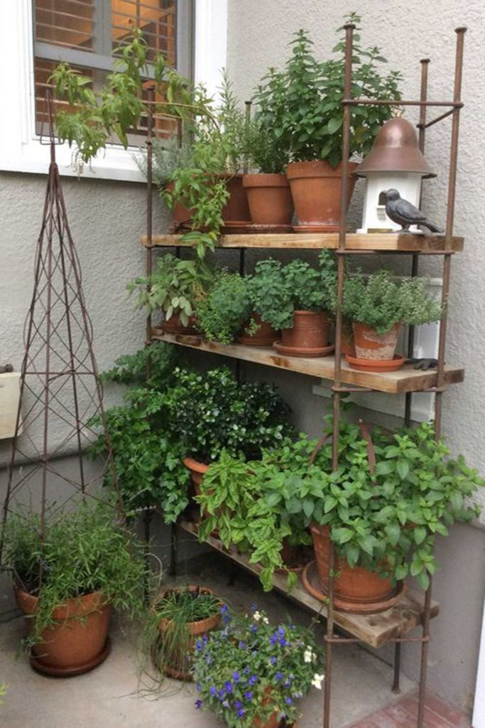 shelving outdoor herb garden