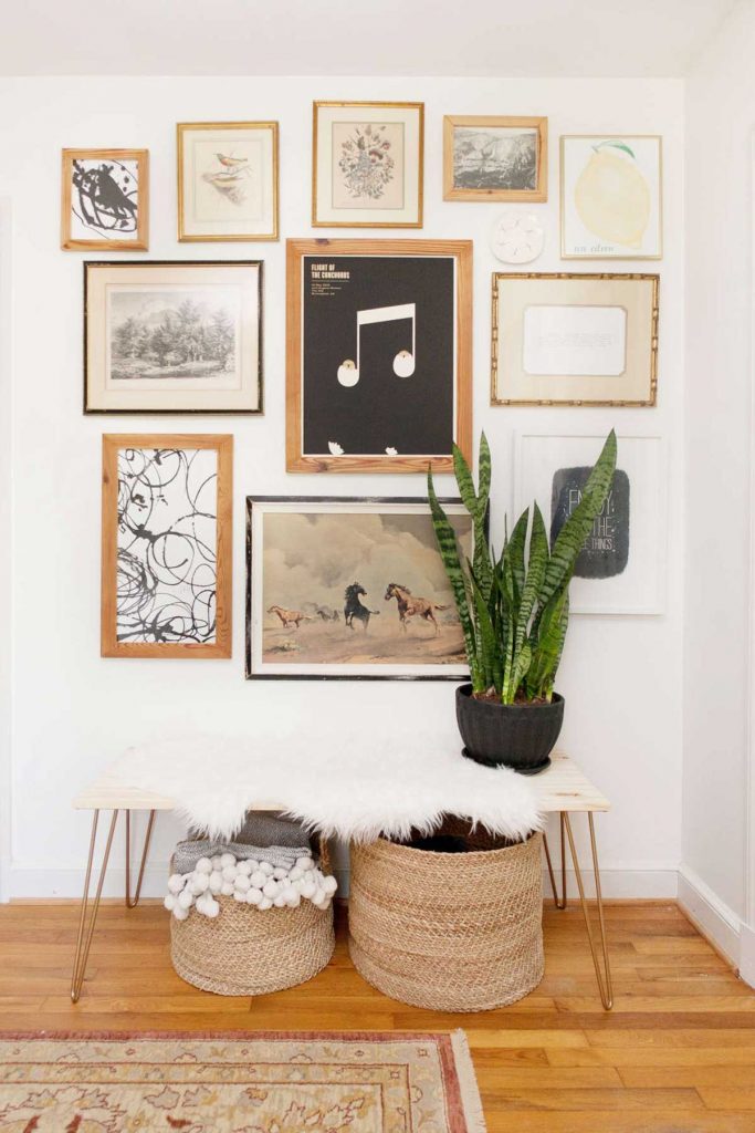 plants with frames 