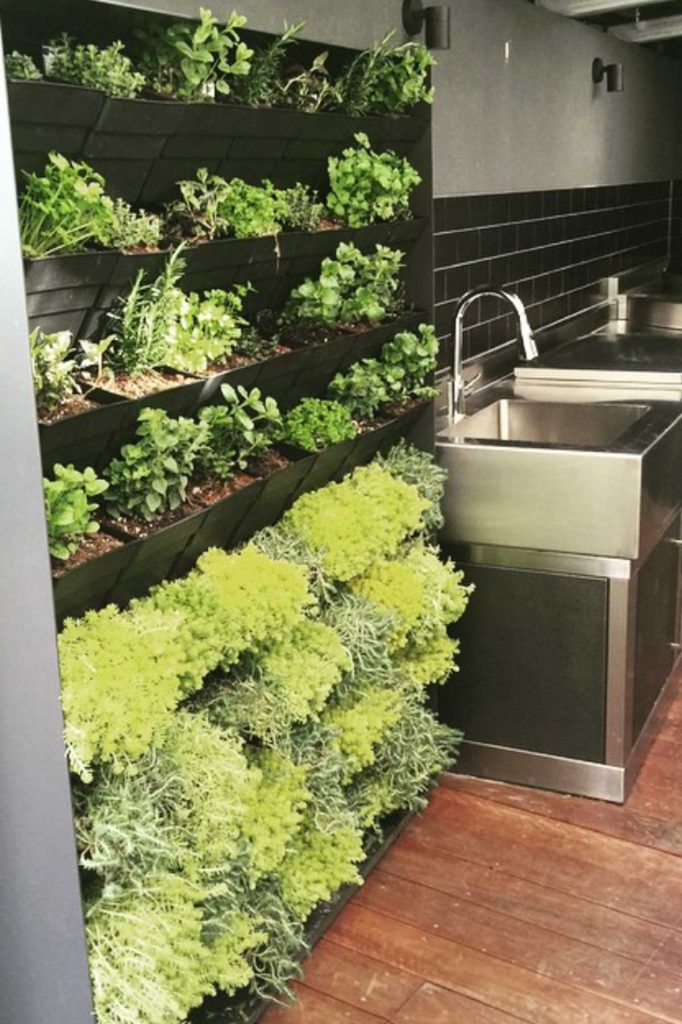 vertical herb garden