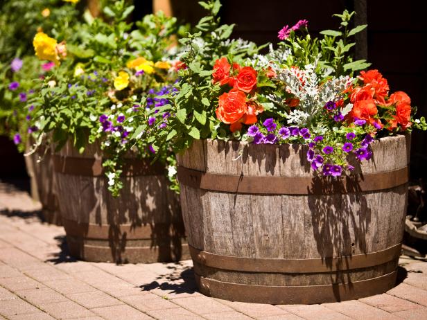 barrels in garden country