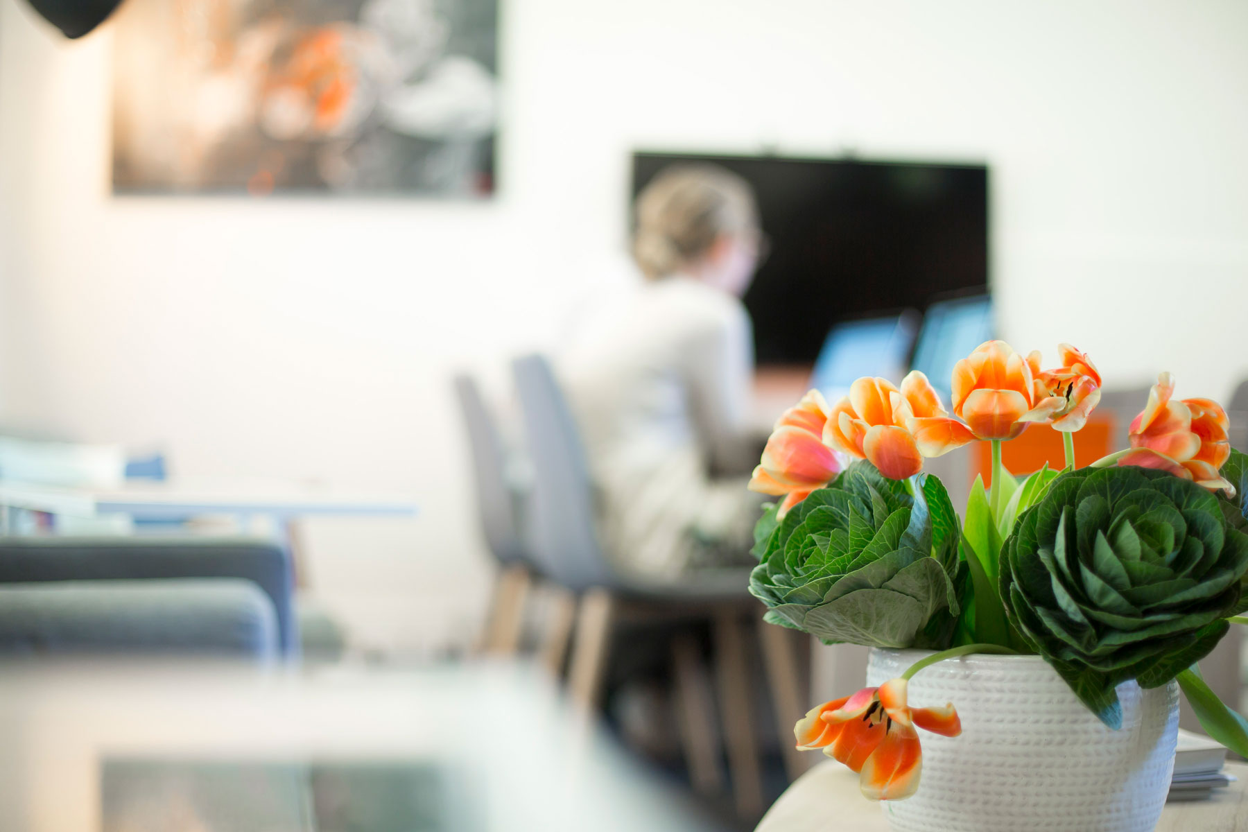 hit 100 office tulips