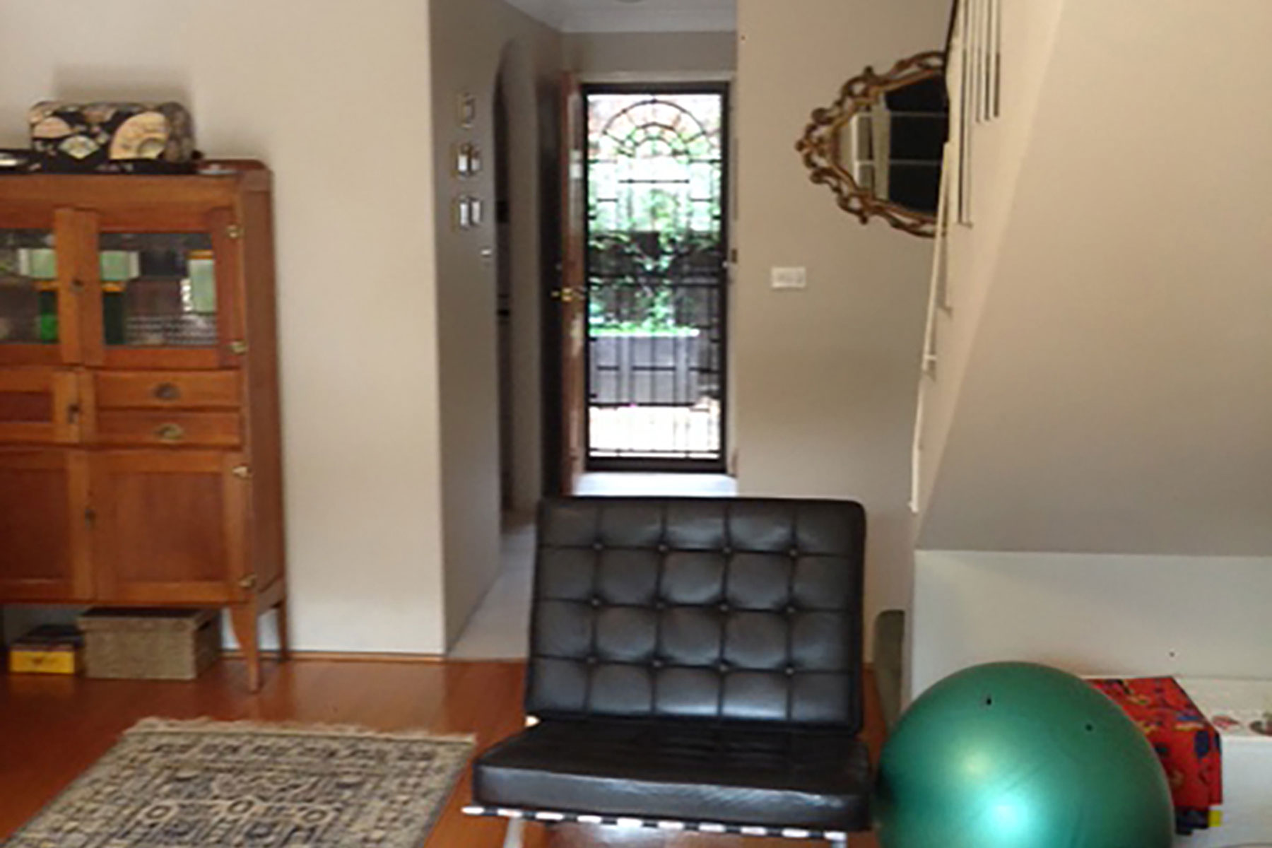 living room fitness ball rug